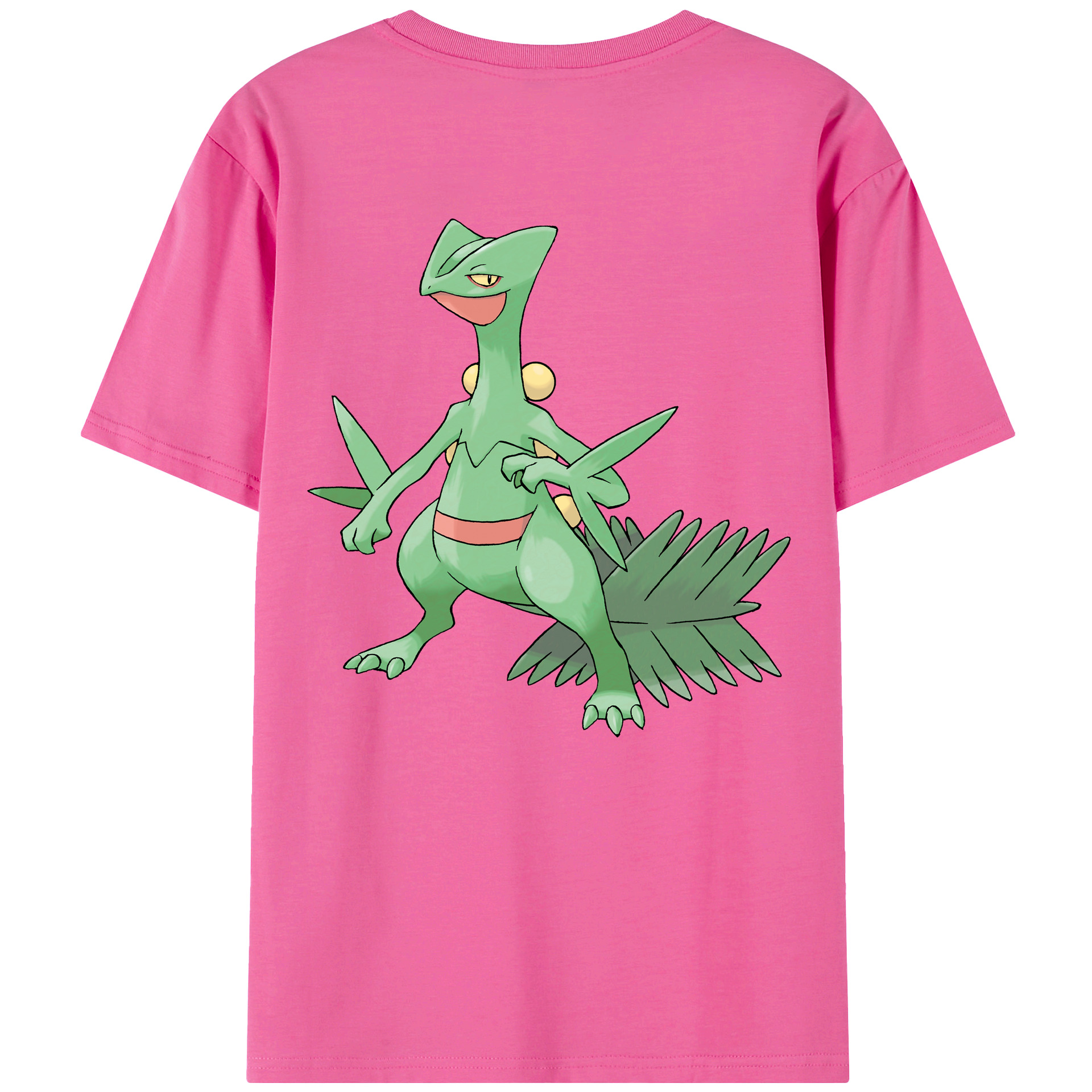 （画像用） ポケットモンスター Pokémon レディース半袖Tシャツ(バックプリント)